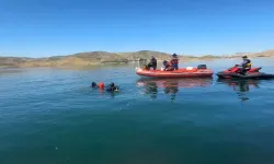 Keban Baraj Gölü'nde dram: Feribottan atlayan kişi hayatını kaybetti!