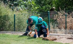 Kuşadası Belediyesi Kirazlı Mahallesi’ni Yeni Sosyal Yaşam Alanına Kavuşturuyor