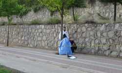 Malatya'da şok eden olay: İş adamı ağaçta asılı bulundu...