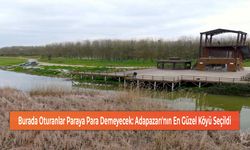 Burada Oturanlar Paraya Para Demeyecek: Adapazarı'nın En Güzel Köyü Seçildi!