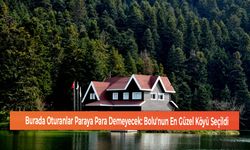Burada Oturanlar Paraya Para Demeyecek: Bolu'nun En Güzel Köyü Seçildi
