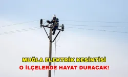 Muğla'da 11 Ağustos'ta elektrik kesintisi: Birçok ilçe etkilenecek