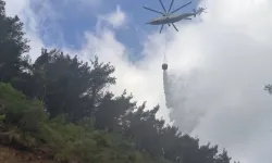 Hatay Arsuz'da orman yangını korkusu! Yangına müdahale ediliyor
