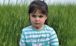 Leyla Aydemir davasında gerekçeli karar açıklandı: Ölüm sebebi belirlenemedi!