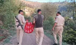 Tüyler ürperten cinayet: İkiz bebeklerini boğazlarını keserek öldürdü