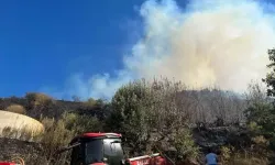 İzmir'de bir orman yangını daha: Ödemiş alevlere teslim oldu!