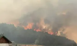 Ankara'daki orman yangını korkutuyor: Yangın Bolu'ya ulaştı, 1 köy boşaltıldı!