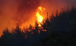 Çanakkale yangını son dakika: Tarihi alanlar tehlike altında!