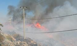 Bodrum'da yangın