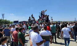 Bursa'da domates üreticilerinden isyan sesleri: 'Çiftçiye uzanan eller kırılsın'