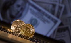 Bitcoin küresel rezerv olma yolunda ilerliyor