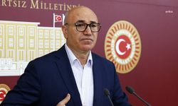 CHP Şanlıurfa milletvekili Mahmut Tanal kimdir?