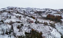 Ordu’nun zirveleri karla buluştu: Masalsı bir doğa manzarası