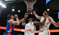 Anadolu Efes Bayern Münih'i rahat geçti!