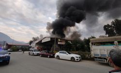 Antalya'da korkutan yangın: 3 iş yeri ve muz serası zarar gördü!