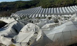 Antalya'da hortum felaketi: Muz seraları yok oldu, çiftçiler zarar gördü!