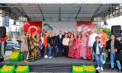 Bodrum Mandalin Festivali coşkuyla gerçekleşti