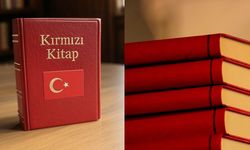 Devletin 'gizli anayasası' olarak nitelendirilen Kırmızı Kitap nedir, içeriği ne?