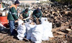 Kuşadası'nda ağaç atıkları, ihtiyaç sahiplerine yakacak olarak ulaşıyor