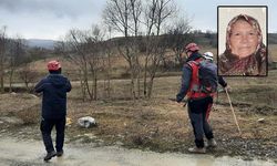 Bolu'da aranan kadının cansız bedeni bulundu