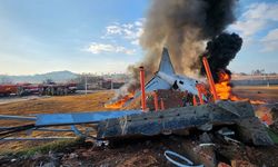 Güney Kore'deki uçak kazasından yeni detaylar! Kuş tüyü ve kan izleri bulundu