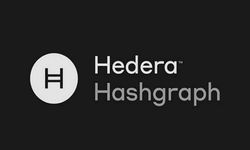 Hedera Hashgraph (HBAR) Coin nedir, hangi borsada var? HBAR Coin geleceği