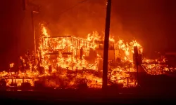 Los Angeles yangın nerede, ne zaman, neden çıktı? Los Angeles'ta son durum ne?