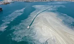 Marmara Denizi’nde müsilajın nedeni belli oldu