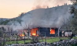 Bodrum'da korkutan yangın: Az kalsın canından oluyordu!