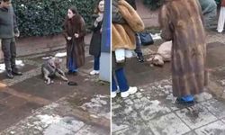 Elektrik akımına kapılan köpek sahibini ısırdı