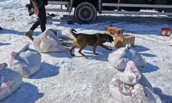 Hakkari’de zehir tacirlerine dev operasyonu: Kargo aracında kilolarca metamfetamin ele geçirildi!