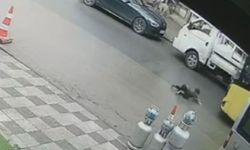 Köpekten kaçıyordu...İETT otobüsünden kaçamadı!