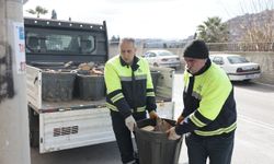 Konak Belediyesi 2 ayda 350 haneye odun desteği sağladı