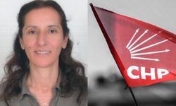 Sancaktepe Belediyesi CHP'li Meclis Üyesi Elif Gül kimdir?