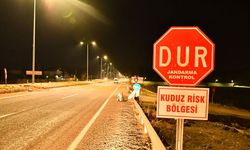 Kuduz alarmı: 6 aylık karantina başlatıldı!