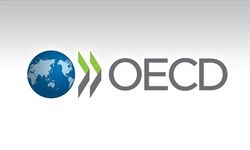 OECD'den Türkiye için pozitif revizyon: 2025 büyüme tahmini yükseldi!