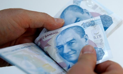 ABD'den Türk Lirası'na övgü