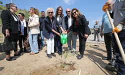 Zeytin fidanları Karşıyaka'nın yarınlarına umut olacak