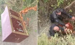Şok soygun... İçi altın dolu çelik kasa çalındı: Torun, damat ve damadın kardeşi gözaltına alındı!