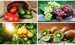 81 ilde ne yetişiyor? Türkiye’nin sebze ve meyve haritası