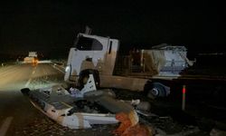 Tır takla attı, kilolarca canlı balık yola saçılarak telef oldu