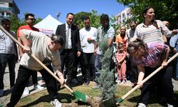 Bornova'da fidanlar dikildi, umutlar büyüdü