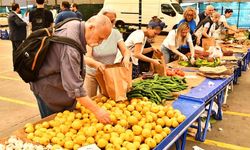 Büyükşehir 15 yıldır organik tarımla çiftçiyi ayakta tutuyor