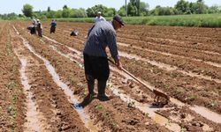 Plansız üretimin sonucu karpuzu vurabilir