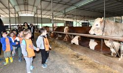 Çiğlili çocuklar, çiftlik hayvanlarıyla buluştu
