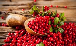 Cranberry (Turna Yemişi) nedir? Cranberry ne işe yarar?