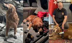 Depremde 18 kişiyi enkaz altından kurtaran kahraman Killian hayatını kaybetti