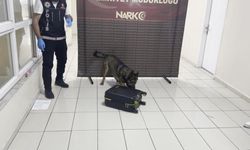 Hektor iz sürüp gerçeği ortaya çıkardı: Valizden kilolarca yasaklı madde ele geçirildi!
