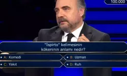 İspirto ne demek? İspirto kelimesinin kökeninin anlamı nedir?