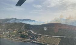 İzmir'de makilik alanda korkutan yangın: Havadan ve karadan müdahale devam ediyor!